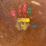 Pferdegestützte Ressourcenförderung