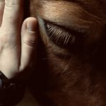 Trauerbegleitung mit Pferd